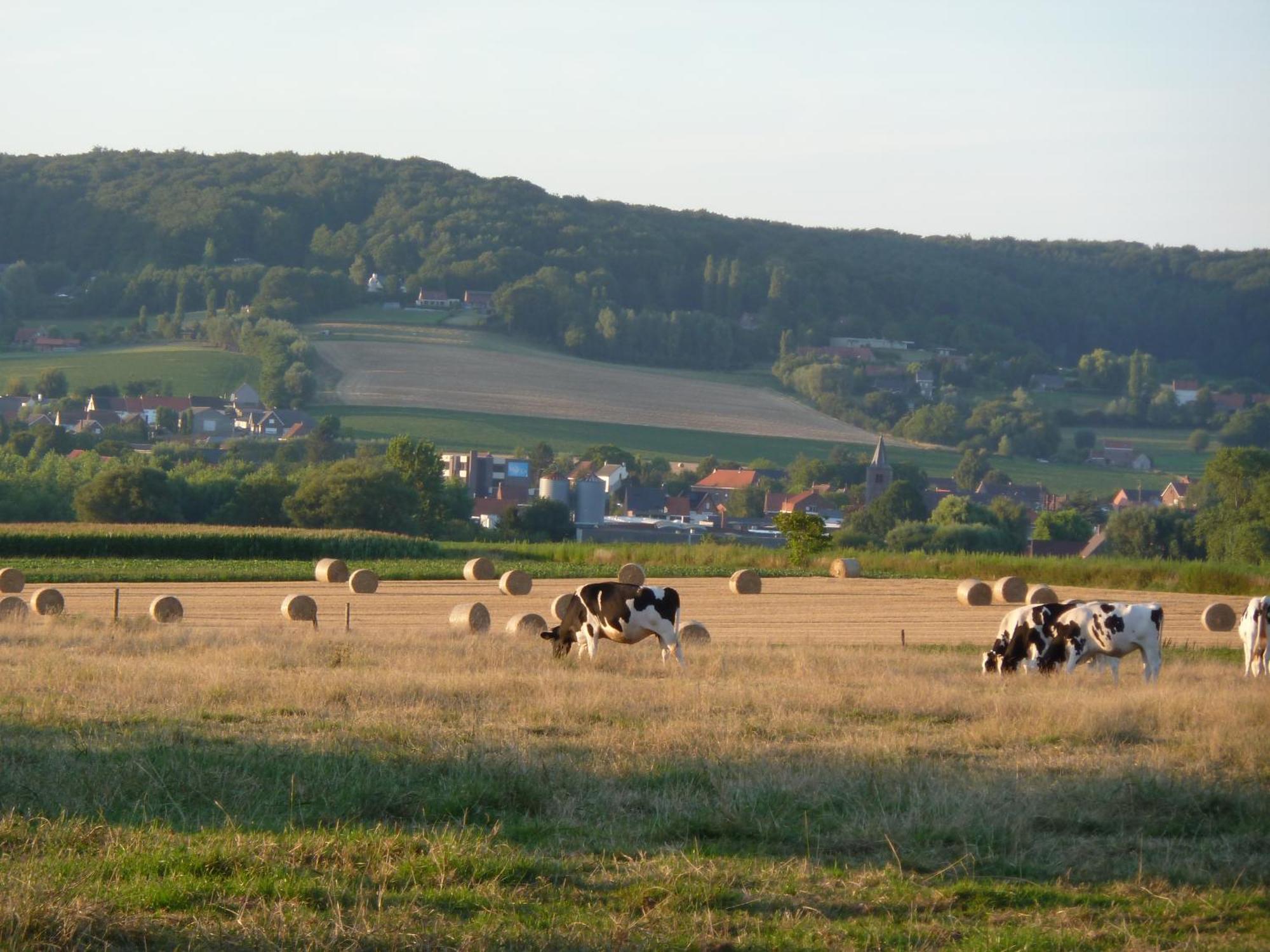Entre Monts Et Collines B&B Et Spa En Option מראה חיצוני תמונה