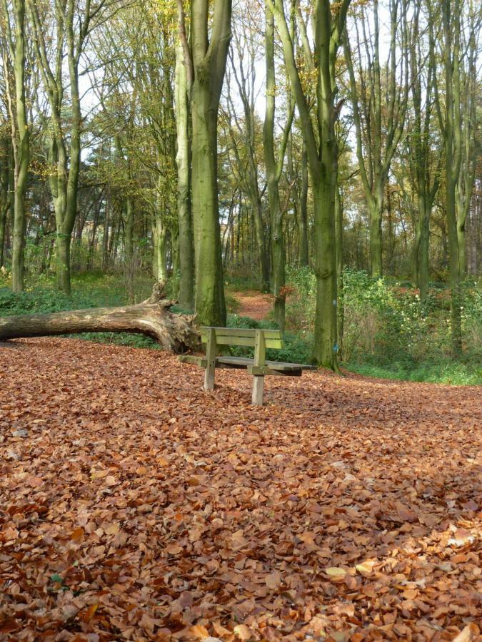 Entre Monts Et Collines B&B Et Spa En Option מראה חיצוני תמונה